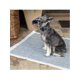 thumbnail image 2 of Sabanillas HI5 90Ã—90 cm CarbÃ³n Activado â€“ Pack 30 Unidades, 2 of 7