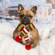 thumbnail image 2 of 2 piezas Navidad rayas de punto bufanda perro cuello de invierno perro más cálido traje Navidad vacaciones mascota Bandana gato cachorro bufanda accesorios, 2 of 3