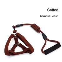 Genérico - Arnés Más Correa Para Perros Mascotas Marrón