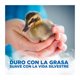 thumbnail image 4 of Lavalozas Original Blue Concentrado, 4 of 4