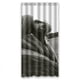 thumbnail image 1 of Cortina de ducha con diseño de arte estético en blanco y negro, juego de cortinas de baño con ganchos, tamaño 36 x 72 pulgadas, 1 of 3