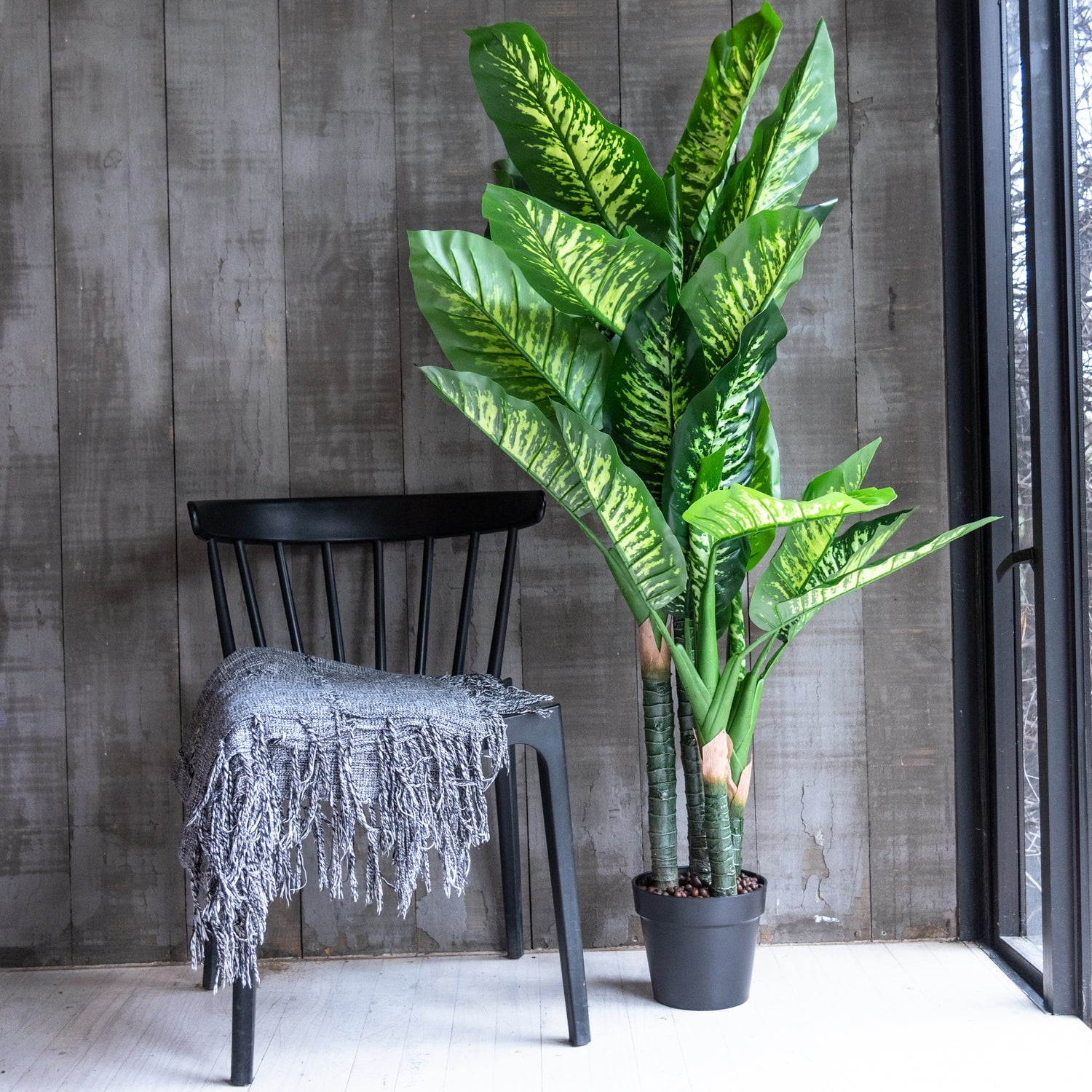 Vadell Home - Difenbaquia De 150 Cm