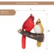 thumbnail image 3 of Abrazador de árboles «Par de cardenales» de Yard Decorations Bits and Pieces, 3 of 8