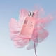 thumbnail image 3 of Perfume Juliette Has A Gun Powder Love 100 ml para mujer, 3 of 7