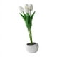 thumbnail image 4 of Flores Artificiales De Tulipanes Creativos Con Luz LED Para Adorno De Aniversario Blanco, 4 of 5