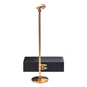 Magideal - Mini Modelo De Micrófono 1:12 Con Estuche De Almacenamiento, Instrumento Musical, Accesorio De Decoración Para Casa De , Regalos Para Y