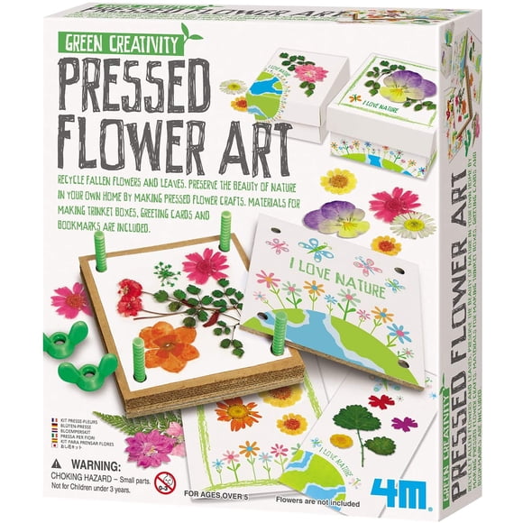 Art Kit de flores prensadas Green Creativity de 4 m con prensa de flores