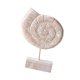 thumbnail image 2 of Estatua De Madera Para Mesa De Playa, Decoración Artística, Figura Para Ba?o, Playa, Casa De Campo, Forma De Caracola, 2 of 5