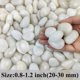 thumbnail image 2 of Guijarros FANTIAN 0.9 kg Blanco 2‑3 cm – Piedras decorativas, 2 of 9