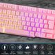 thumbnail image 3 of Teclado para juegos Orzly RX250-K Pink RGB USB con cable, 3 of 7