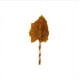 thumbnail image 2 of Triple Flavor Wings 5 Pk, 2 of 2