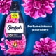 thumbnail image 5 of Suavizante Líquido Concentrado Fiber Protect Botella, 1 L, 5 of 6