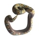thumbnail image 3 of Novedad Pulsera De Serpiente Falsa Modelo De Animal Aterrador Mu?equera Pitón Reticulado, 3 of 5