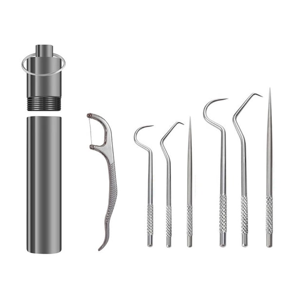 Juego de palillos de dientes portátiles, reutilizables, de acero inoxidable, con soporte para picnics y acampadas al aire libre.