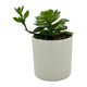 thumbnail image 2 of Planta Artificial 16cm, 1 unidad, 2 of 4
