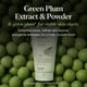 thumbnail image 4 of Limpiador mascarilla de arcilla CKD Green Plum AHA BHA 135 mL para todo tipo de piel, 4 of 7