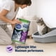 thumbnail image 4 of Cat's Pride 8,6 kg Fresh Scent Arena Aglomerante para Gatos, 4 of 7
