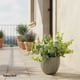 thumbnail image 2 of Eucalipto Planta Artificial con Macetero Decoración SunnyYard, 2 of 4