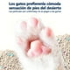 thumbnail image 3 of Arena Sanitaria Para Gatitos 100% Libre De Polvo,natural 2kg Roma Lavanda, 3 of 8