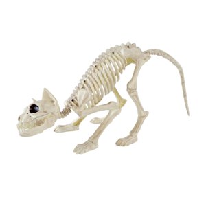 Magideal - Huesos De Gato Esqueléticos, Decoración De Halloween, Accesorios De Terror, Esqueleto De Animal Para Interior Y Exterior, Patio, Jardín, Habitación Em
