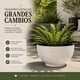 thumbnail image 5 of Macetero Plastico Semi Esfera Premium Diseño a Rayas M blanco, 5 of 9
