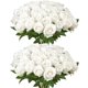 thumbnail image 1 of Flores Artificiales VEVOR 60 unidades Rosas de Espuma Blancas, 1 of 9