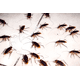 thumbnail image 3 of Insecticida Multiplaga Klerat 500 ml, 3 of 3