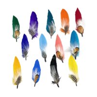 Magideal - Plumas Para Sombreros Fedora, Plumas Artesanales Novedosas Para Sombreros De Vaquero, Broches, Decoraciones De Broches Cantidad 13