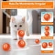 thumbnail image 4 of Pelota De Juguete Para Perros Inteligente,pelota Interactiva Para Perros Que Rebota Inteligente,pelota Rodante Automática Para Perros Segura Y Antimordeduras Para Perros Y Gatos Mascotas, 4 of 6