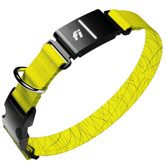 Collar para perro Fi Series 3+ GPS talla mediana amarillo - 6 meses