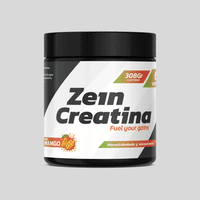 Zein - Creatina Monohidratada Y Micronizada 308Gr Mango