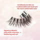 thumbnail image 4 of Pestañas Ardell Wispies 113 negras, 6 pares x 2 unidades, 4 of 5