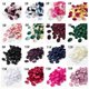 thumbnail image 2 of suxuMhao Pétalos de Rosa de Flores Artificiales Al por Mayor-400 Pzas 1.2in Pétalos de Flores para Decoración, Pétalos de Rosas para Boda, Pétalos de Flores de Seda, Pétalos de Flores Falsos, 2 of 5