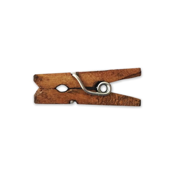 Pinza de ropa LWR CRAFTS 2,5 cm paquete de 100 (Jacobean)