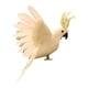 thumbnail image 2 of Aves Artificiales Emplumadas Loro Estatuilla Pájaro Escultura Para Camino Patio Blanco, 2 of 5