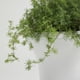 thumbnail image 3 of Urnas de plástico blancas Planter Worth, paquete de 2 unidades, 56 cm de alto, 3 of 7