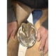 thumbnail image 4 of B Gone Hoof Clay para caballos con enfermedad de la línea blanca, 4 of 4