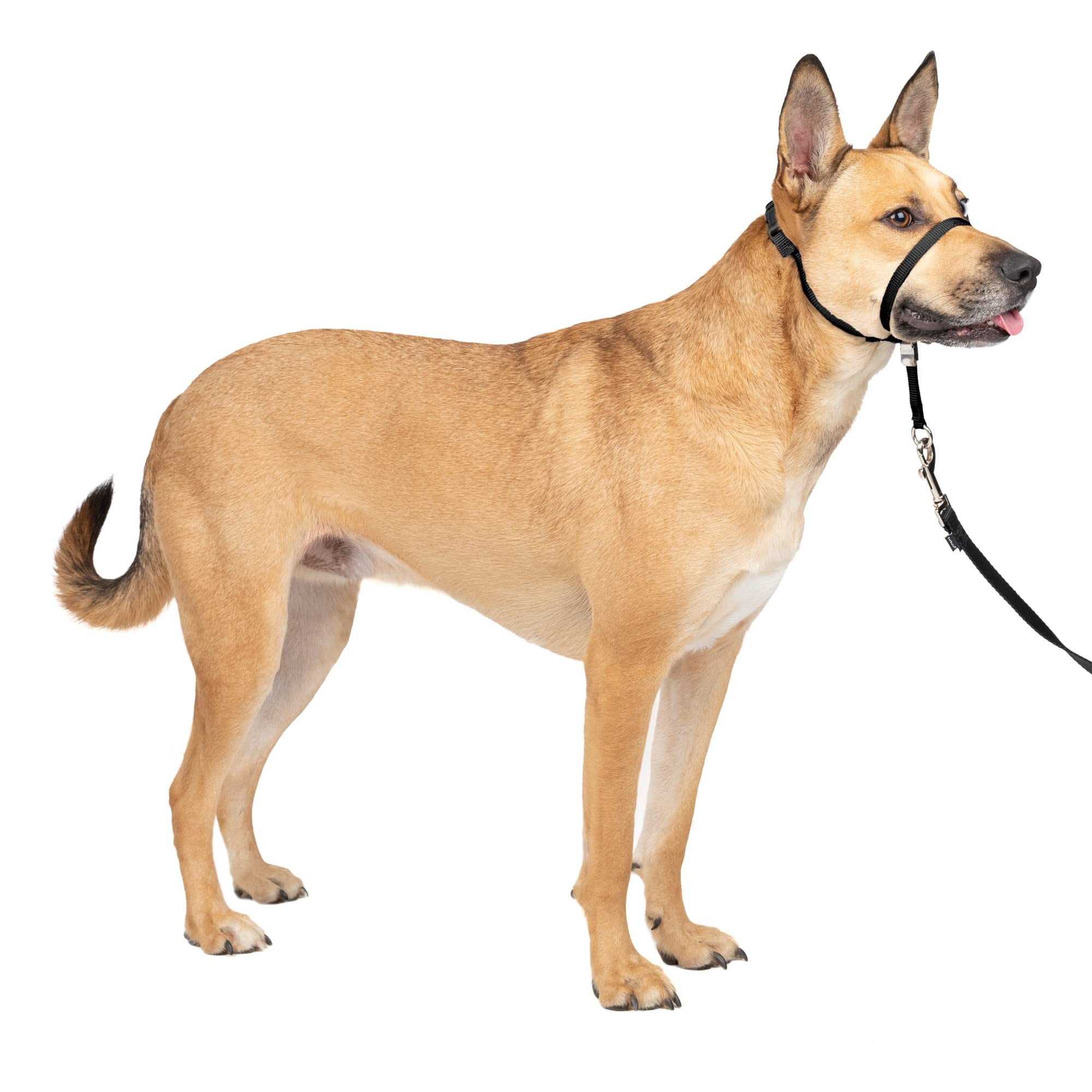 Collar Para Perro Petsafe Gentle Leader No-pull Medium Black