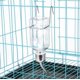 thumbnail image 5 of Botella de Agua WHZAZGW Pack de 2 Sin Goteo para Animales Pequeños, 5 of 6