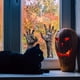 thumbnail image 2 of 1pc, Spooky Halloween Wall and Window Decals - Hand and Ghost Designs for a Hauntingly Fun Home Decor, 2 of 4