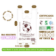 thumbnail image 4 of Bolsa Pack Compostable y Biodegradable | 300 unidades, 4 of 6