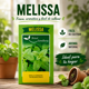 thumbnail image 5 of Semillas de Melisa Brisol para Huerta e Infusiones, 5 of 5