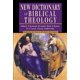 thumbnail image 1 of Diccionario IVP Academic de Teología Bíblica, 1 of 1