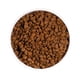 thumbnail image 5 of Alimento para gatos Grain Free Adult Chicken Cat 1 Kg, 5 of 6