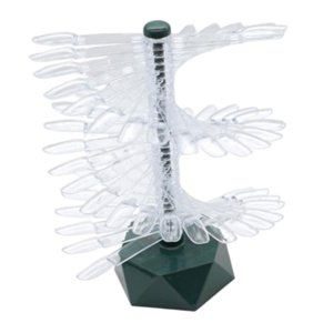 Ioensy - Pantalla De Color De Uñas Desmontable Para Herramientas De Juego De Uñas Herramientas De Práctica Muestras De Uñas Verde