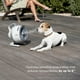 thumbnail image 2 of Ventilador portátil Shark FlexBreeze HydroGo con niebla para interiores y exteriores, 2 of 3