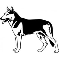 Rienda Libre Graphics - Decomural German Shepherd Dog Ws-17586