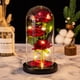 thumbnail image 2 of Regalos de flor de Navidad para las mujeres, la belleza y la bestia rosa en cúpula de plástico con modo de 2 luces, encender el regalo romántico del aniversario de la rosa para ella, regalos, 2 of 3
