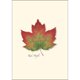 thumbnail image 3 of Set de tarjetas de notas Earth Sky + Water 9 × 13 cm – 8 unidades, 3 of 4