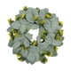 thumbnail image 3 of Guirnalda De Eucalipto Verde Guirnalda Grande Interior Puerta Principal Decoraciones Para El Hogar Color C, 3 of 5